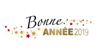 IMAGE BONNE ANNEE 2019.jpg